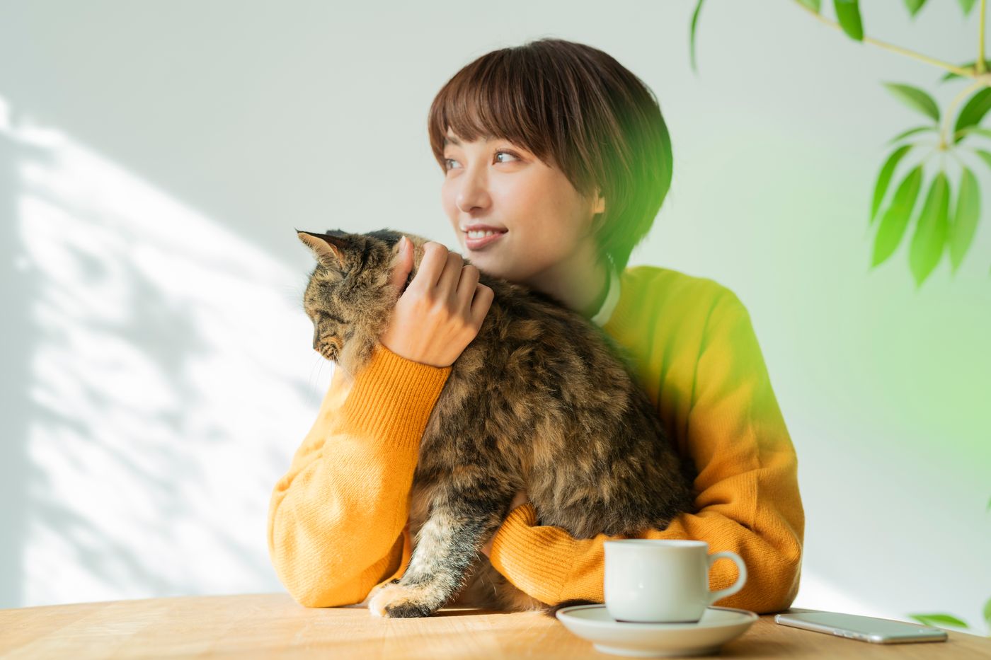 猫と過ごす穏やかな時間