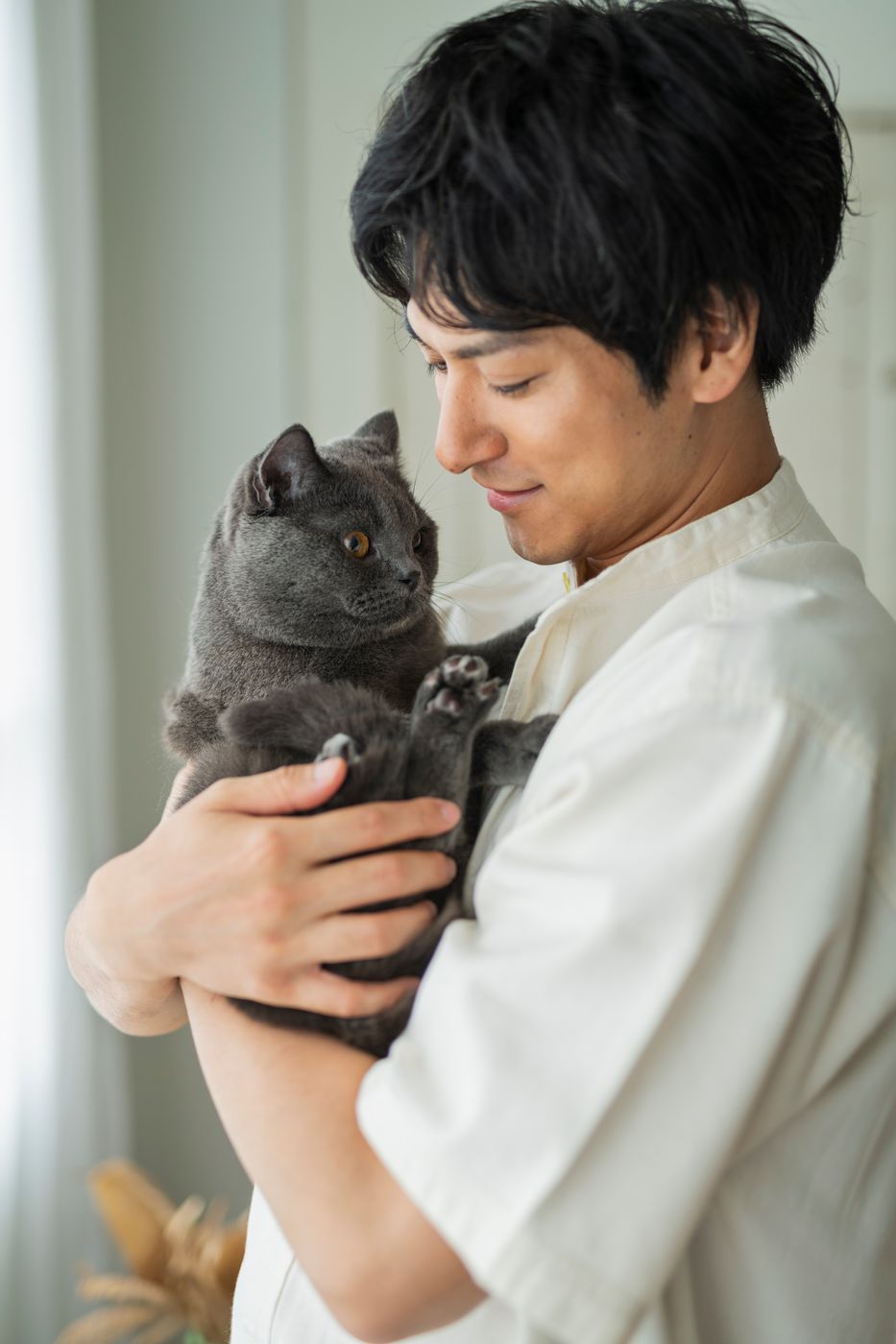 小さな愛犬をやさしく抱く人