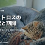 ペットロスの症状と続く期間｜心・体の変化と和らげ方
