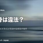 散骨は違法？刑法とガイドラインで分かる合法の条件