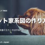 ペット家系図の作り方｜犬猫の血統書の見方と手順を解説