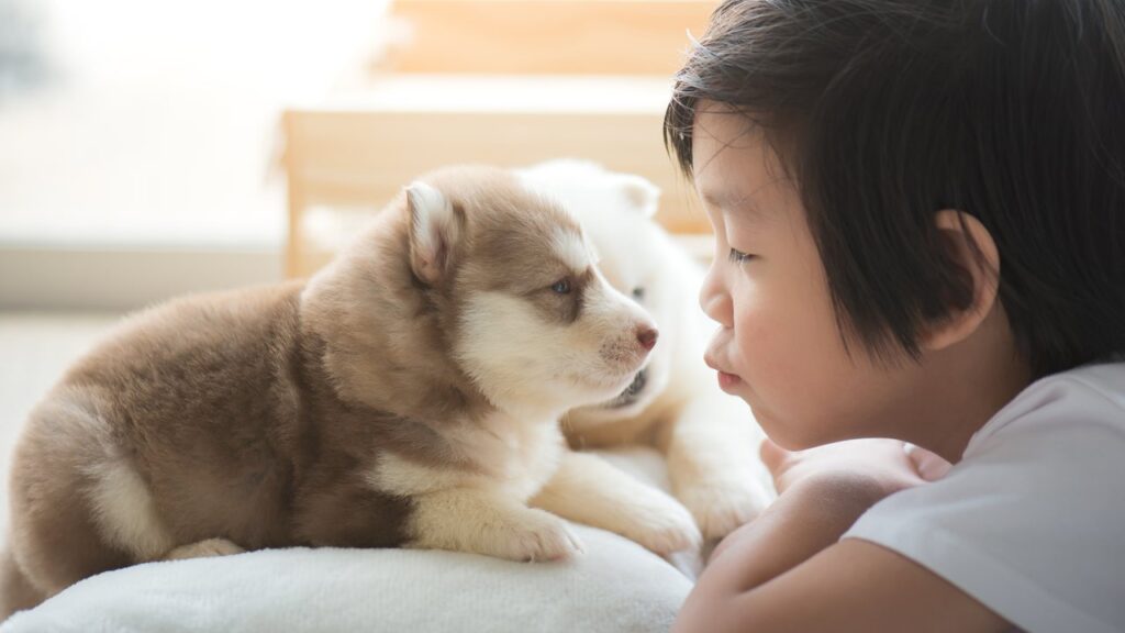 子どものペットロス|死をどう伝え、どう寄り添うか