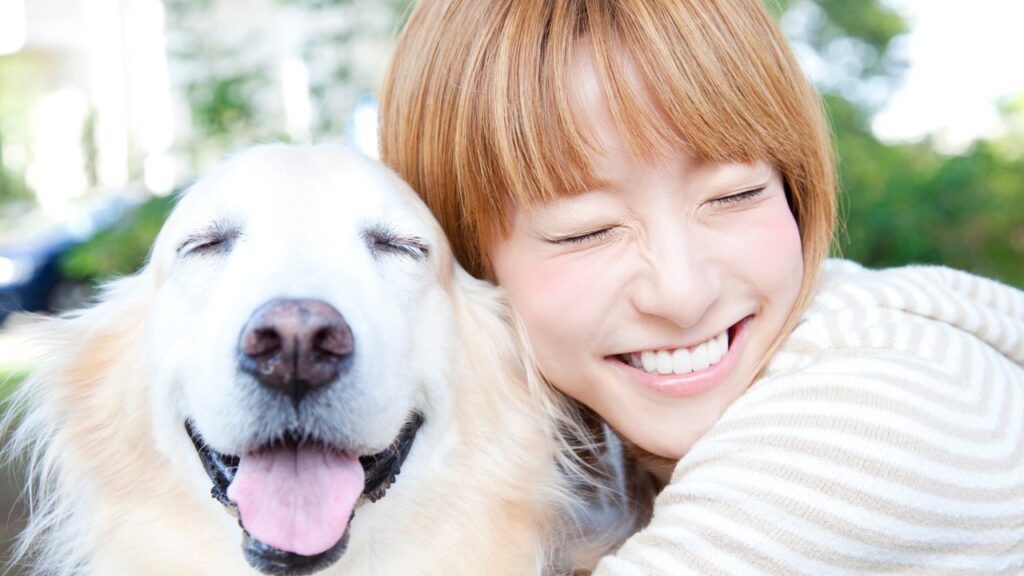 「虹の橋」とは|ペットとの再会を願う詩の意味と由来