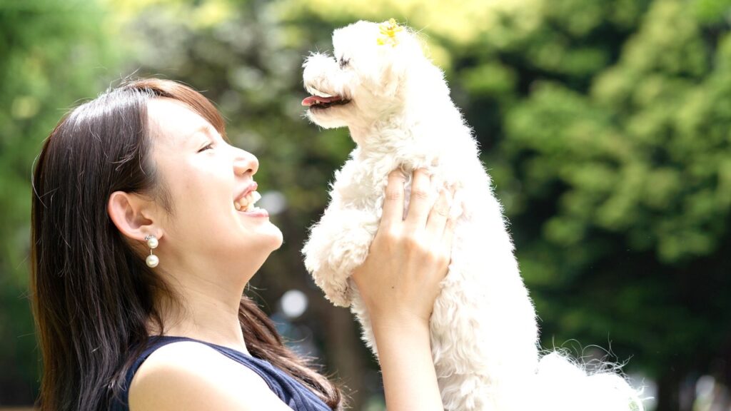 「虹の橋」とは|ペットとの再会を願う詩の意味と由来