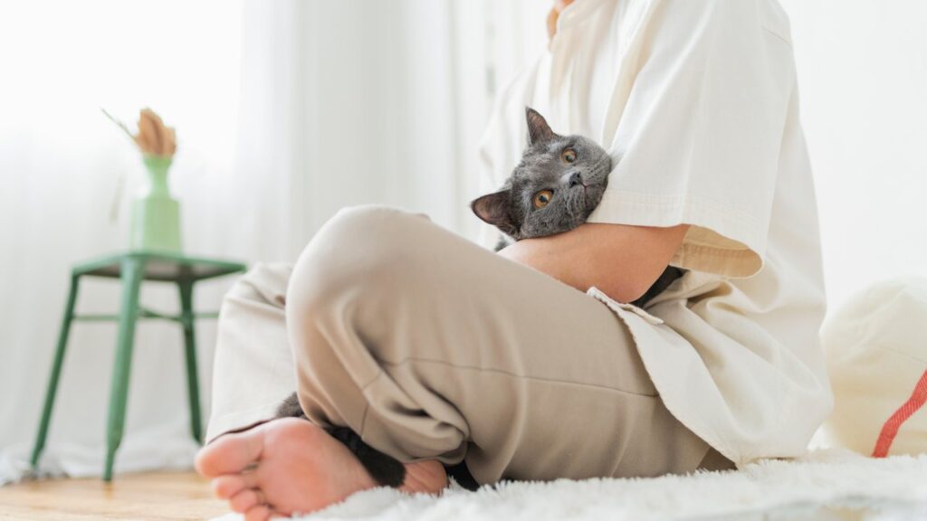 老犬・老猫の介護のはじめ方｜今日からできる暮らしの工夫