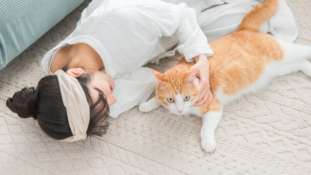 老犬の夜鳴きの原因と対策|認知症のサインと向き合い方