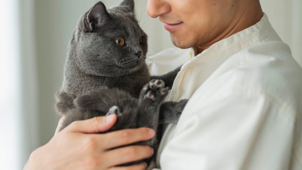 ペットの手元供養とは|方法・種類・始め方をやさしく解説